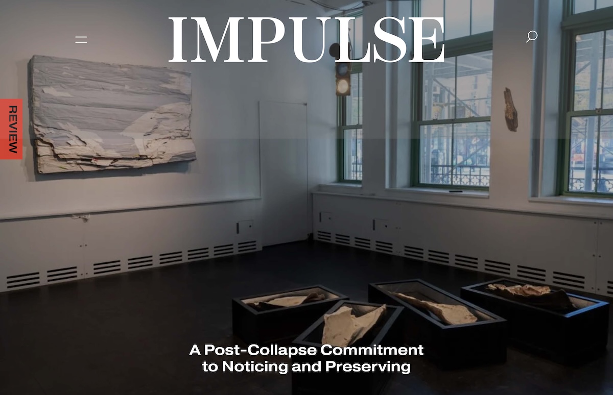 A Post-Collapse Commitment to Noticing and Preserving