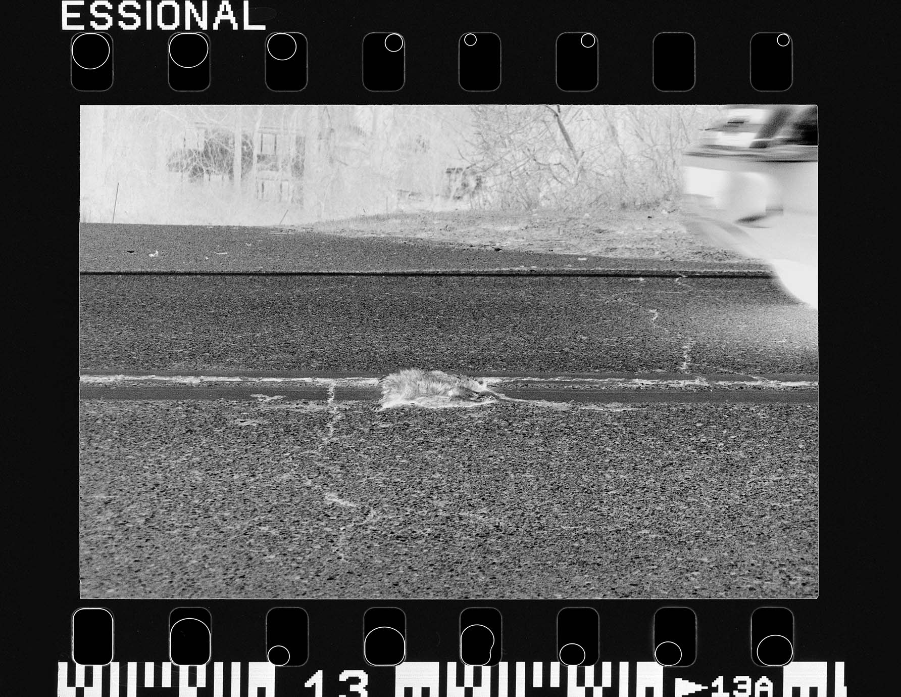 Camera RAW .05
